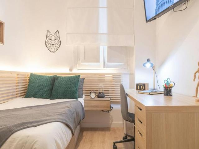 1 Dormitorio Shared Living/Roommate Madrid Madrid 101847859
