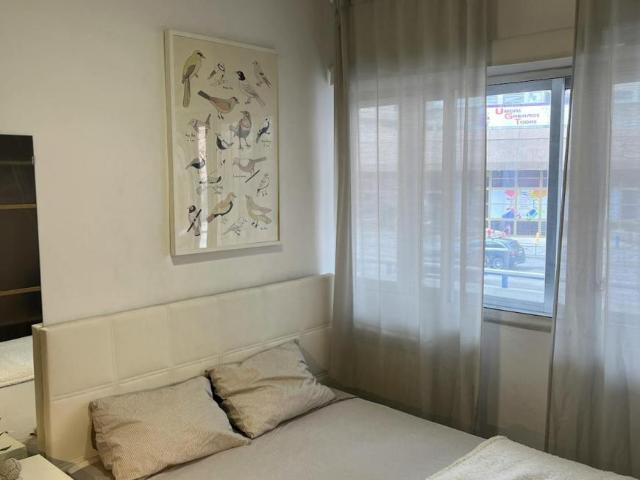 1 Dormitorio Shared Living/Roommate Madrid Madrid 101849508