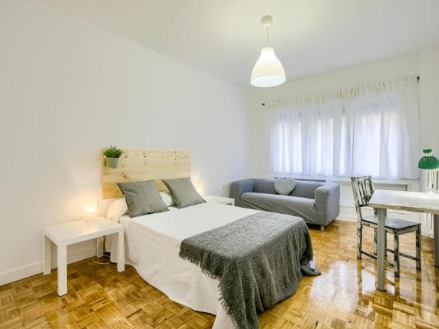 1 Dormitorio Shared Living/Roommate Madrid Madrid 101849547