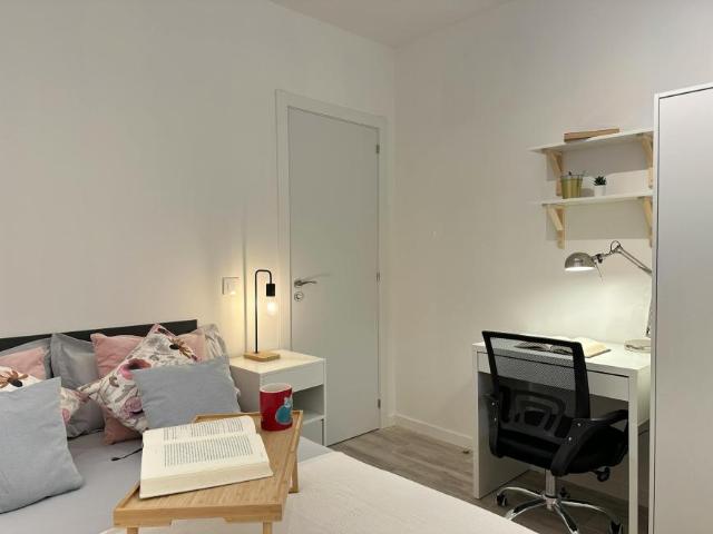1 Dormitorio Shared Living/Roommate Madrid Madrid 101842063