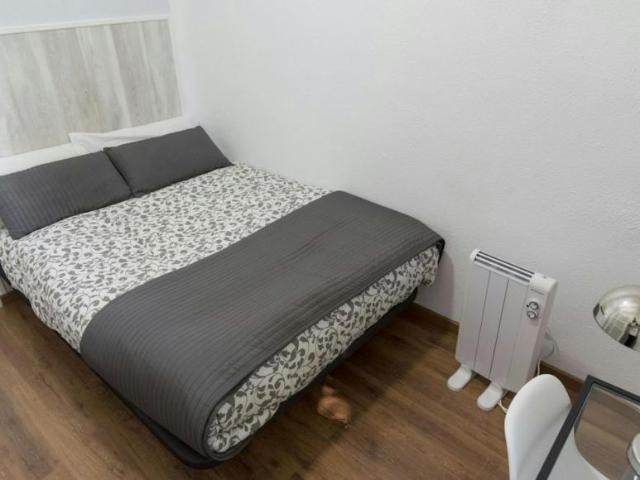1 Dormitorio Shared Living/Roommate Madrid Madrid 101850887