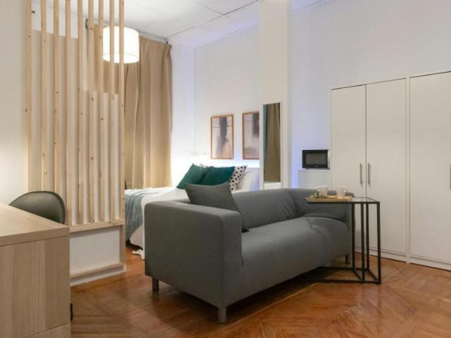 1 Dormitorio Shared Living/Roommate Madrid Madrid 101851208