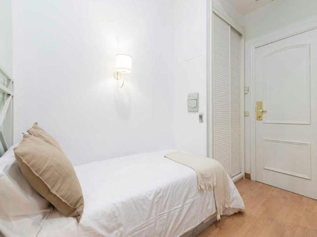 1 Dormitorio Shared Living/Roommate Madrid Madrid 101988875