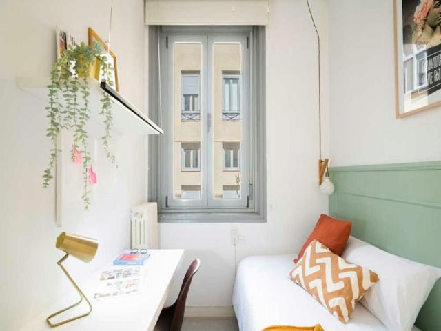 1 Dormitorio Shared Living/Roommate Madrid Madrid 101988918