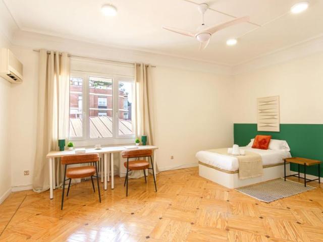 1 Dormitorio Shared Living/Roommate Madrid Madrid 102340236