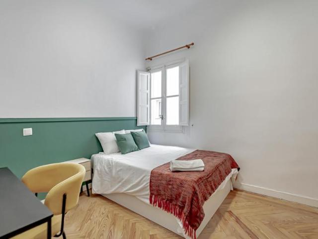1 Dormitorio Shared Living/Roommate Madrid Madrid 102436476