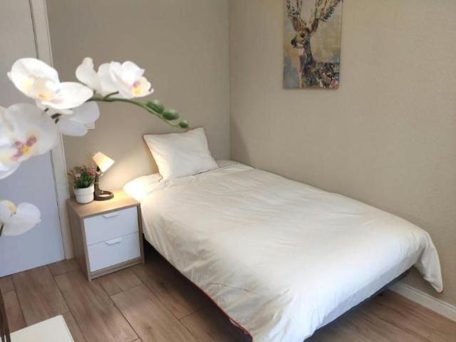 1 Dormitorio Shared Living/Roommate Madrid Madrid 102815457