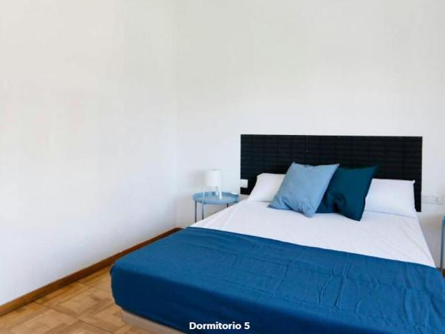 1 Dormitorio Shared Living/Roommate Madrid Madrid 102817045