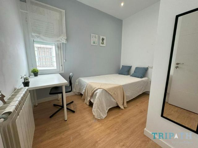 1 Dormitorio Shared Living/Roommate Madrid Madrid 102813486