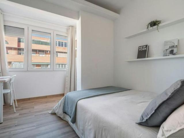 1 Dormitorio Shared Living/Roommate Madrid Madrid 102848647