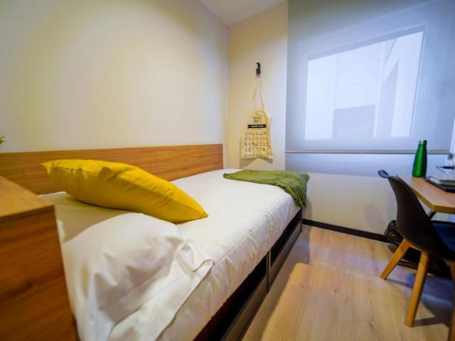 1 Dormitorio Shared Living/Roommate Madrid Madrid 102849087