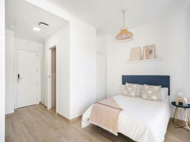 1 Dormitorio Shared Living/Roommate Madrid Madrid 102854124