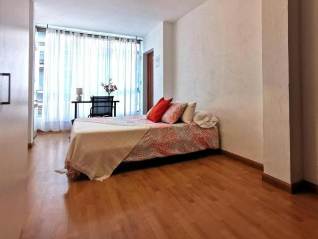 1 Dormitorio Shared Living/Roommate Madrid Madrid 102855165