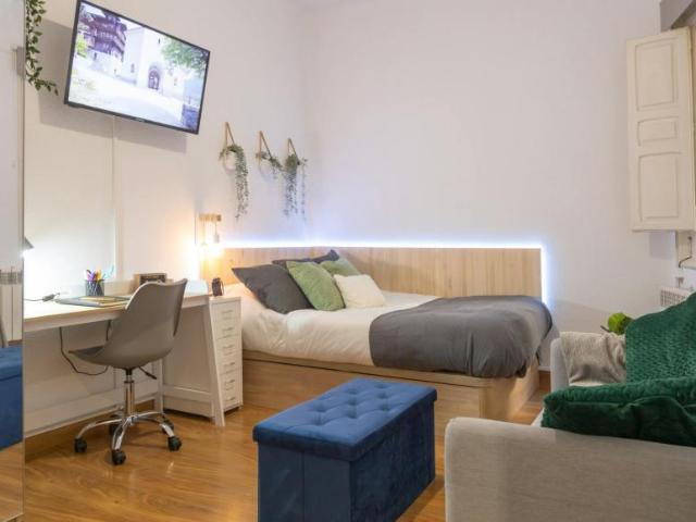 1 Dormitorio Shared Living/Roommate Madrid Madrid 102856171