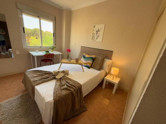 1 Dormitorio Shared Living/Roommate Madrid Madrid 102850501