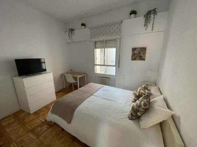 1 Dormitorio Shared Living/Roommate Madrid Madrid 102851273