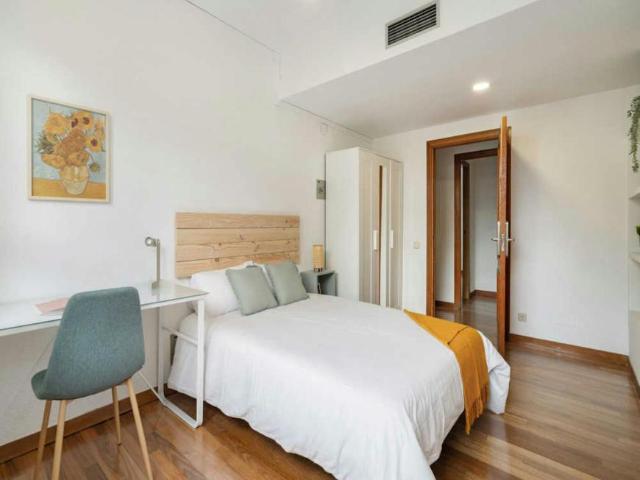 1 Dormitorio Shared Living/Roommate Madrid Madrid 102853421