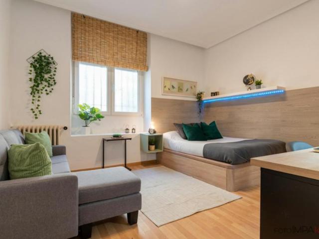 1 Dormitorio Shared Living/Roommate Madrid Madrid 102885673