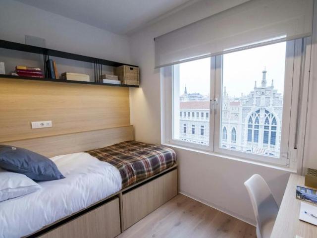 1 Dormitorio Shared Living/Roommate Madrid Madrid 102916743