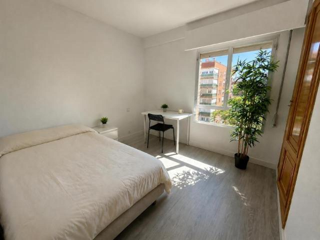 1 Dormitorio Shared Living/Roommate Madrid Madrid 102916755