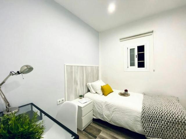 1 Dormitorio Shared Living/Roommate Madrid Madrid 102953545