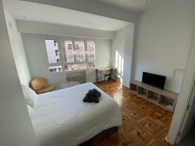 1 Dormitorio Shared Living/Roommate Madrid Madrid 88124119