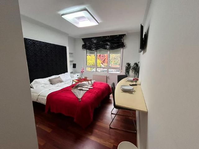 1 Dormitorio Shared Living/Roommate Madrid Madrid 91498068