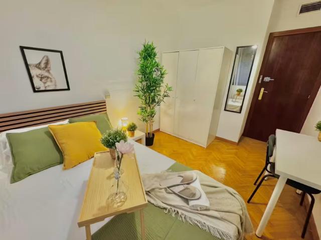 1 Dormitorio Shared Living/Roommate Madrid Madrid 98364422