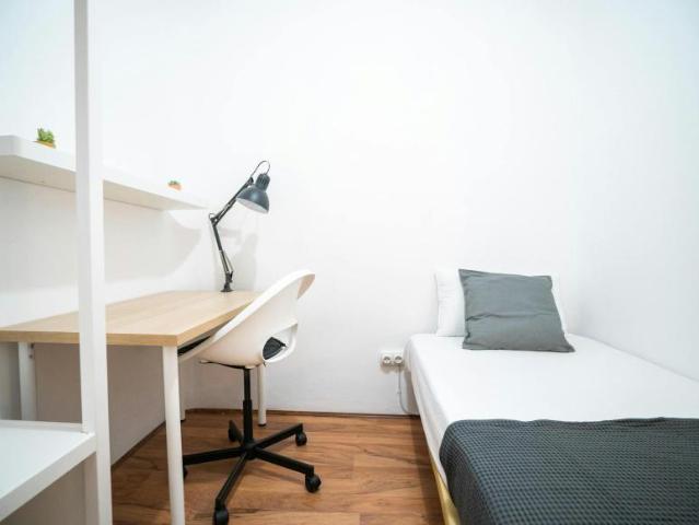 1 Dormitorio Shared Living/Roommate Madrid Madrid 99636704