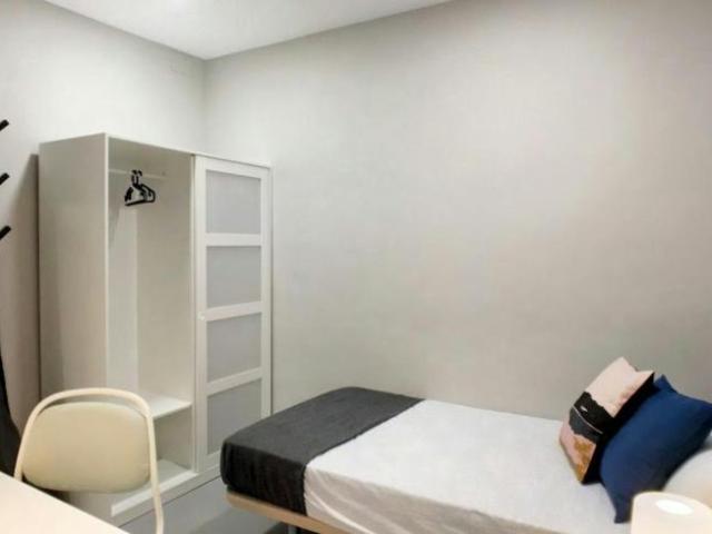 1 Dormitorio Shared Living/Roommate Madrid Madrid 99636942