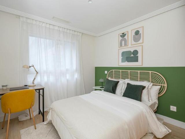 1 Dormitorio Shared Living/Roommate Madrid Madrid 99685820