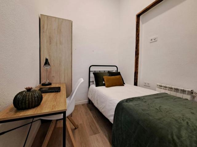 1 Dormitorio Shared Living/Roommate Madrid Madrid 99685090