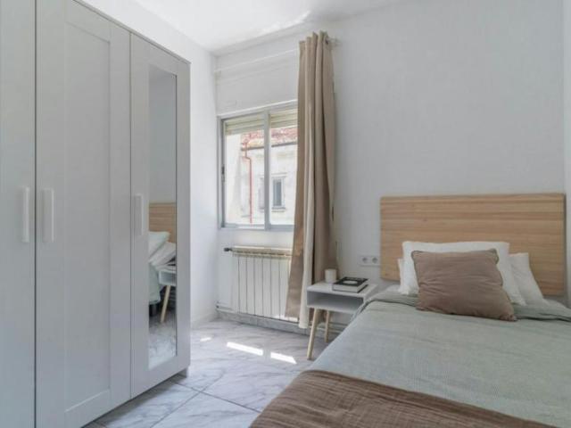 1 Dormitorio Shared Living/Roommate Madrid Madrid 99686055