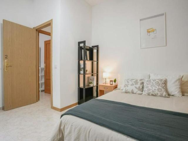 1 Dormitorio Shared Living/Roommate Madrid Madrid 99686268
