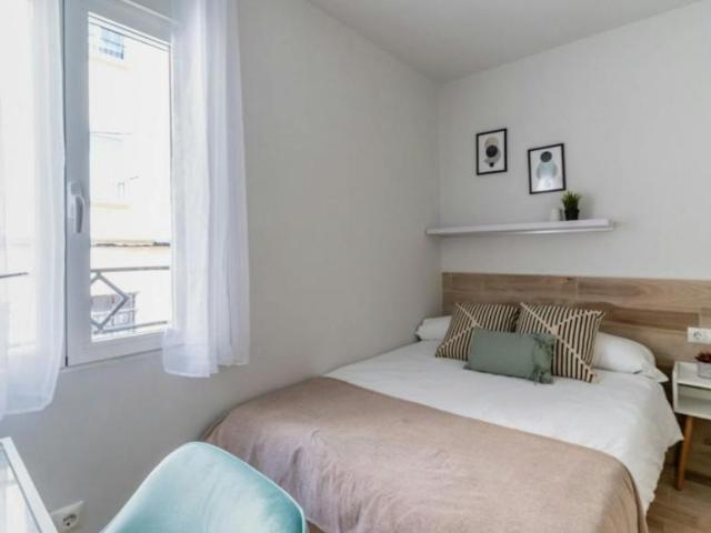 1 Dormitorio Shared Living/Roommate Madrid Madrid 99688561