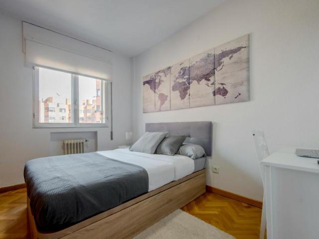 1 Dormitorio Shared Living/Roommate Madrid Madrid 99688895