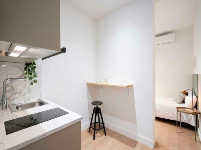 1 Dormitorio Shared Living/Roommate Madrid Madrid 99689850