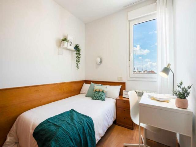 1 Dormitorio Shared Living/Roommate Madrid Madrid 99690071