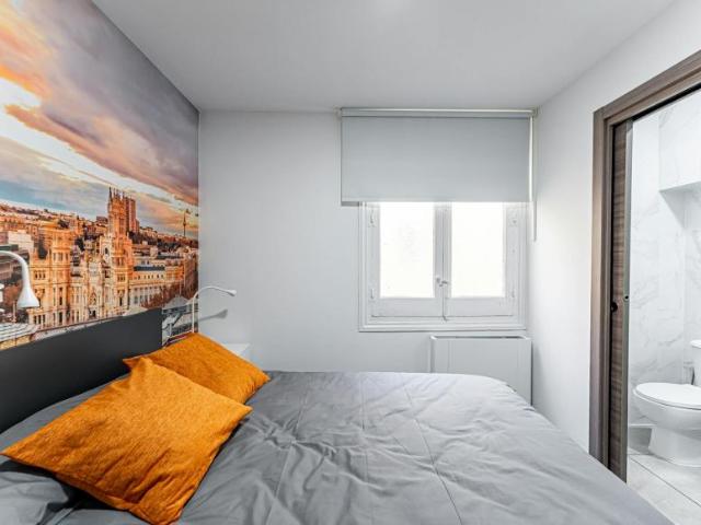 1 Dormitorio Shared Living/Roommate Madrid Madrid 99691618
