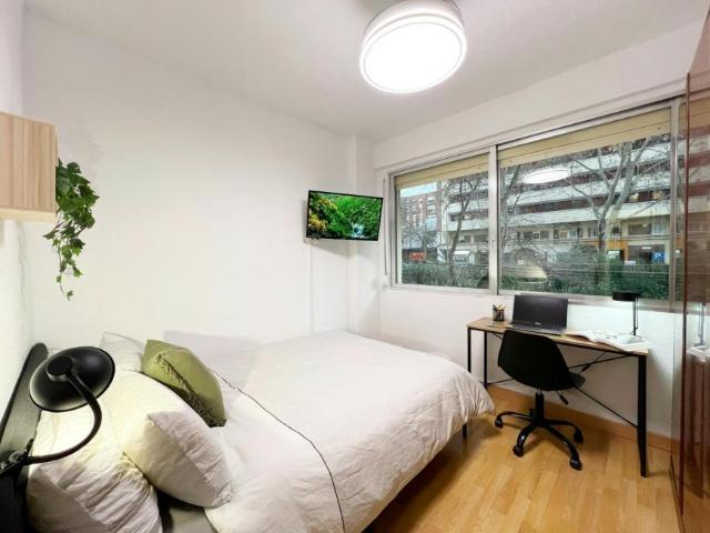 1 Dormitorio Shared Living/Roommate Madrid Madrid 99726037