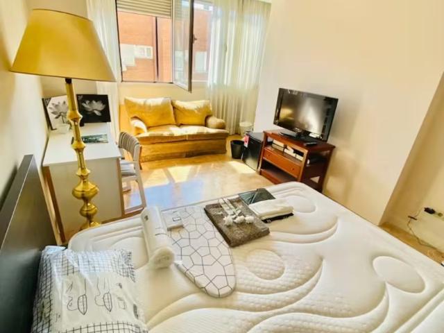 1 Dormitorio Shared Living/Roommate Madrid Madrid LS97636748