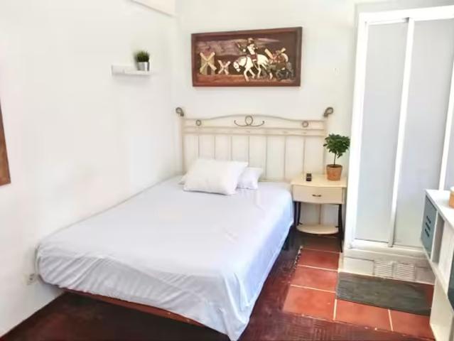 1 Dormitorio Shared Living/Roommate Madrid Madrid LS98541871