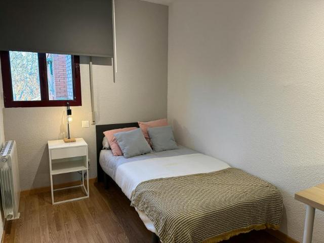 1 Dormitorio Shared Living/Roommate Madrid Madrid LS98959958