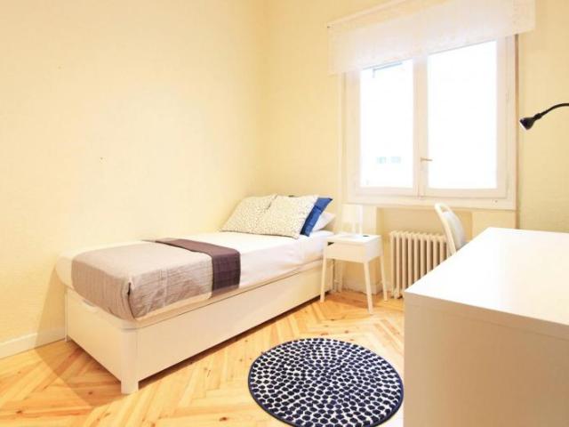 1 Dormitorio Shared Living/Roommate Madrid Madrid LS99563431