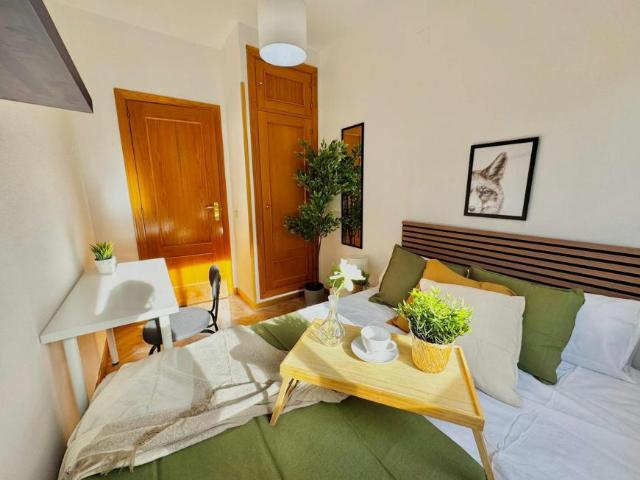 1 Dormitorio Shared Living/Roommate Madrid Madrid LS100672506