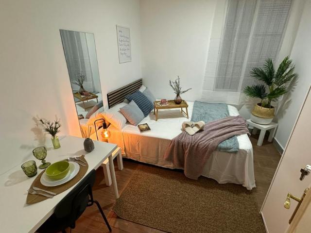 1 Dormitorio Shared Living/Roommate Madrid Madrid LS100718027