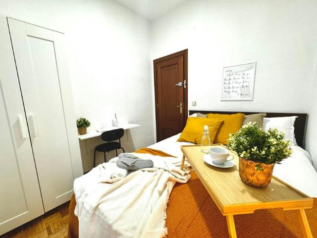 1 Dormitorio Shared Living/Roommate Madrid Madrid LS100719645