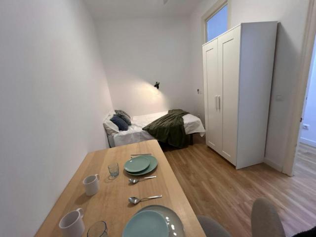 1 Dormitorio Shared Living/Roommate Madrid Madrid LS100943749