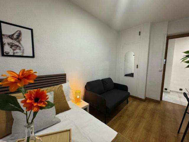 1 Dormitorio Shared Living/Roommate Madrid Madrid LS100088475