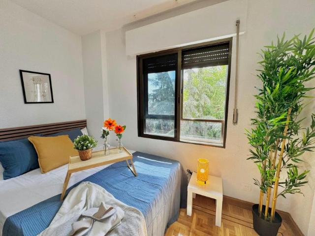 1 Dormitorio Shared Living/Roommate Madrid Madrid LS102848964